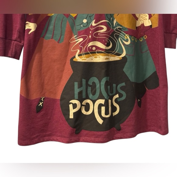 Disney’s Hocus Pocus Girl’s Halloween Long Sleeve Hooded Maroon Dress: L:10/12 - Picture 3 of 7
